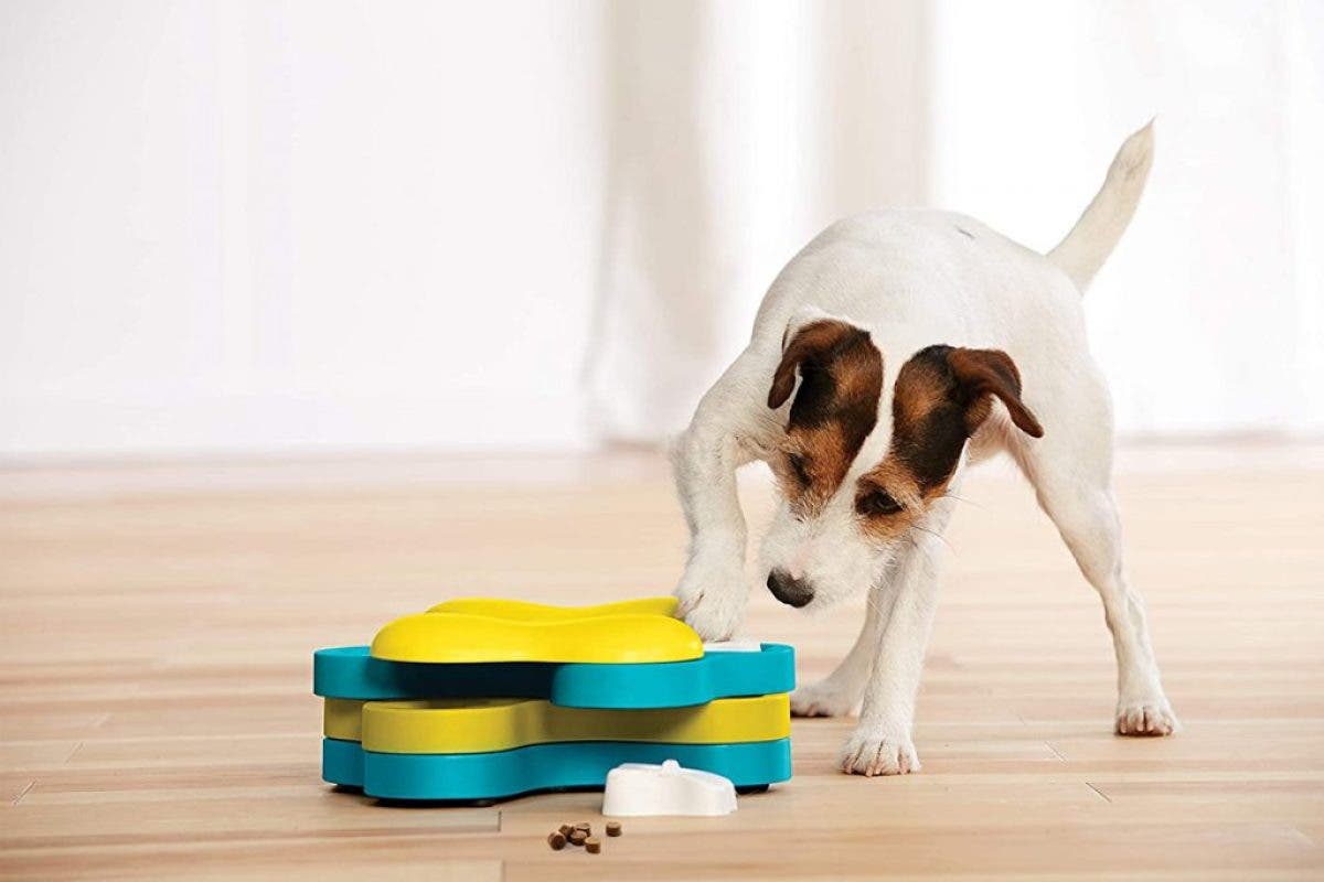 Juego interactivo de Dog Activity para saciar el instinto curioso de tu perro