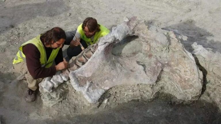 Dinosaurios gigantes en Cuenca